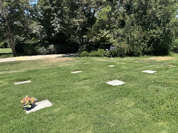 Imagen 12