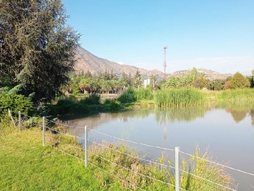 Imagen 7