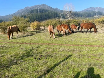 Imagen 16