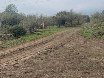 Imagen 14