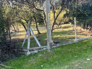 Imagen 17