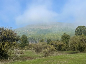 Imagen 15