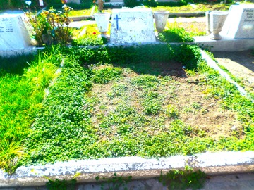 Venta / Lote de Cementerio / Lo Espejo