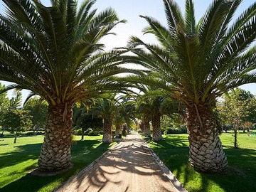 Venta / Lote de Cementerio / Peñaflor