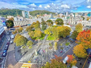 Venta / Oficina / Concepción