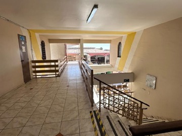 Imagen 6