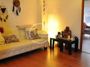Imagen 11