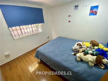 Imagen 11