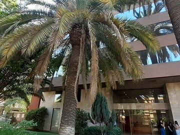 Venta / Oficina / Providencia