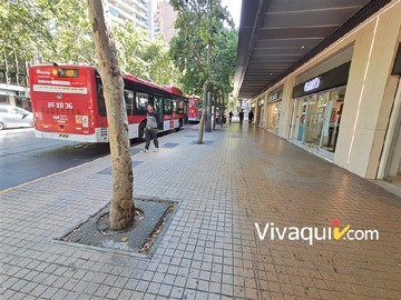 Imagen 19