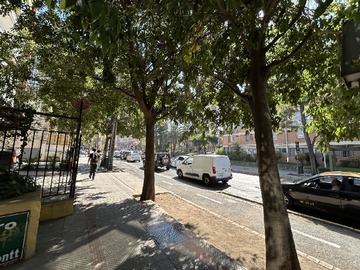 Imagen 22