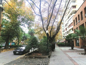 Imagen 15