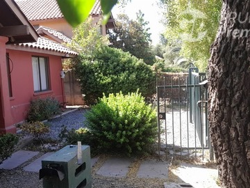 Imagen 19