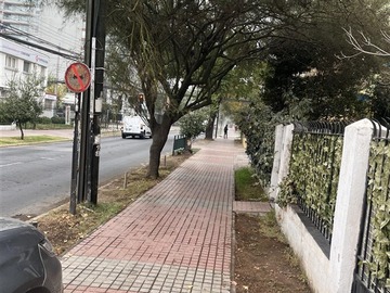 Imagen 19