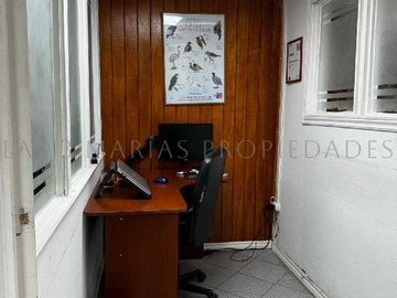 Imagen 10