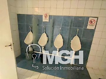 Imagen 4