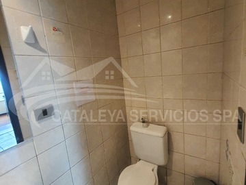 Imagen 13