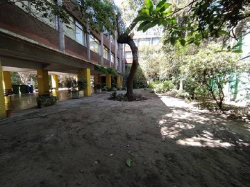 Imagen 13