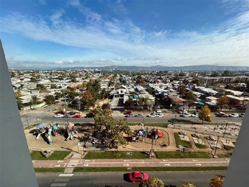 Imagen 10