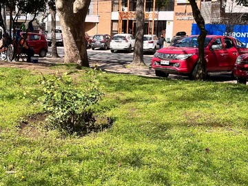 Imagen 12