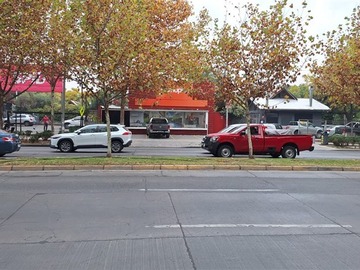 Imagen 14