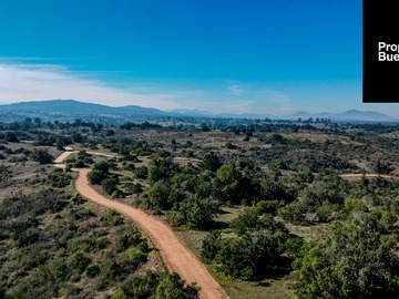Venta / Parcela / Algarrobo