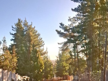 Venta / Parcela / Algarrobo