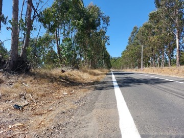 Venta / Parcela / Algarrobo