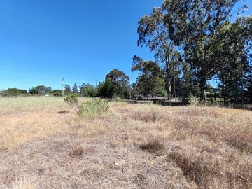 Venta / Parcela / Algarrobo