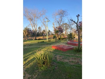 Imagen 18