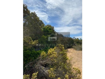 Venta / Parcela / Algarrobo