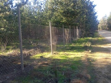 Venta / Parcela / Algarrobo