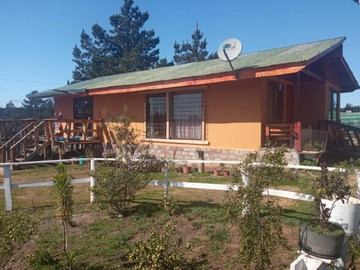 Imagen 4