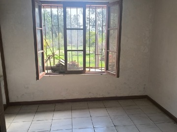 Imagen 14