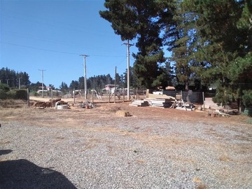 Imagen 6