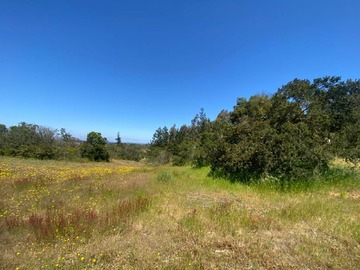 Venta / Parcela / Algarrobo