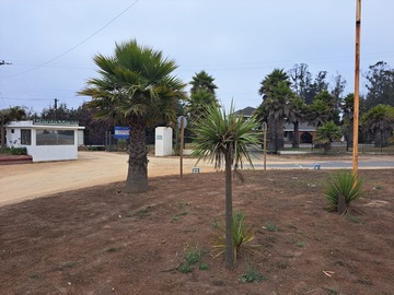 Venta / Parcela / Algarrobo