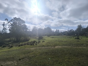 Venta / Parcela / Algarrobo