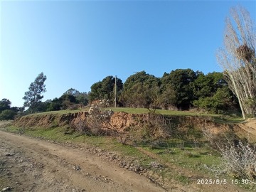 Imagen 5