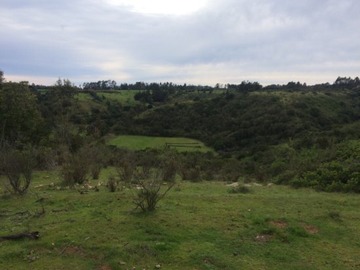 Imagen 12
