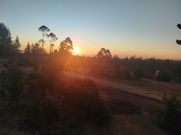 VENDO PARCELA ALGARROBO 5.000 M2