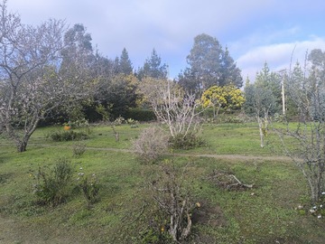 Imagen 9