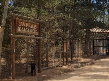Venta / Parcela / Algarrobo