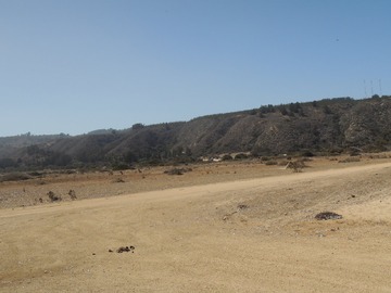 Imagen 5