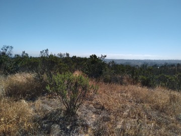 Venta / Parcela / Algarrobo