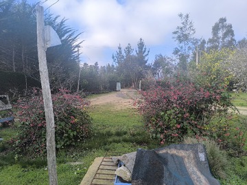 Imagen 8