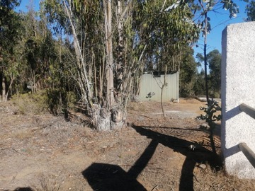 Venta / Parcela / Algarrobo