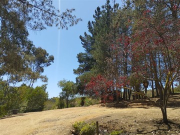 Venta / Parcela / Algarrobo
