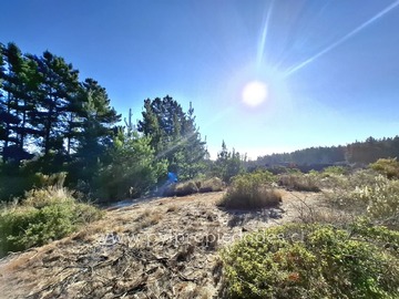 Venta / Parcela / Algarrobo