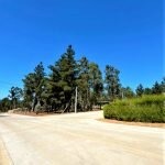 Venta / Parcela / Algarrobo